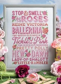 Rose-Coloured Spectacle by Emma Congdon from Cross Stitcher 372 PCS + XSD