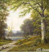 Golden Kite GK 2431 Woods