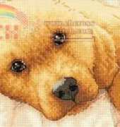 Dimensions 65038 - Golden Puppy
