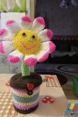 Flora the gift box