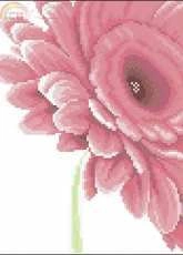 Lanarte 35053 Close up pink flower pcs