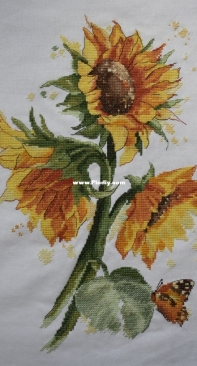 Panna C-7136 Bright Sunflowers