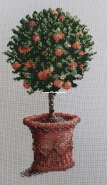 Orange tree