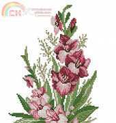 Zolotoe Runo ZR CK-006 Gladiolus