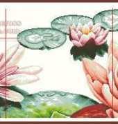 DOME 100821 Fresh Lotuses