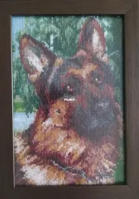 Riolis 1068 - German Shepherd