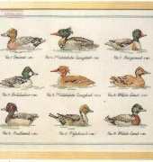 Permin 15-1420 Family ducks