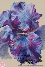 Gift Iris/Дар Ириды by Anna Kuznetsova /Анна Кузнецова