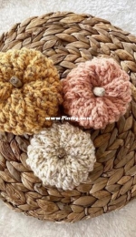 Sweet Sharna Crochet Artist - Sharna Moore - Cute Textured Pumpkin - Free