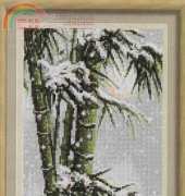 BG Bamboo