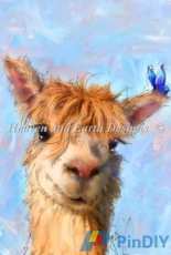 HAED HAECAT102 Alpaca by Conni Togel