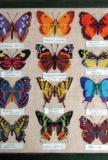 Butterflies PCS
