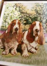 Dogs