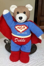 Bear Super Héro