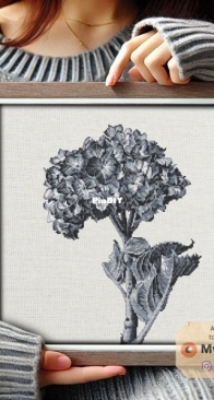My Brave Stitch - Black And White Hydrangea by Hanna Levchuk