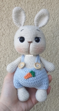 Bunny