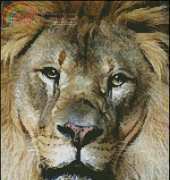 Lion Face Artecy Cross Stitch