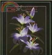 Zolotoe Runo ZR NA-006 Night Lilies