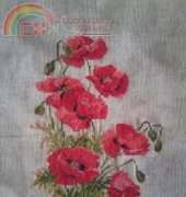 Riolis Poppies