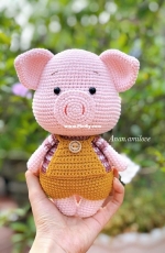 Anan Amilove - An An Craft - Trần Thị Hạnh - Huyền Trần - Pig  - Portuguese - Translated