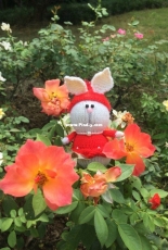 red dress rabbit