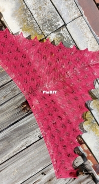 Lace shawl
