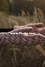 Pokka by Marie Petra -  English, Czech, German