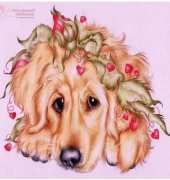 HAED HAEKAM 2108 Rosie by Karen Middleton