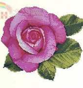 The Silver Lining SL102 - Camillas Rose