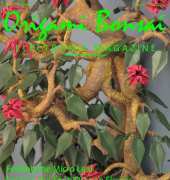 Origami Bonsai Electronic Magazine Vol. 3 Issue 4