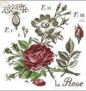 La Rose Études de Botanigue (Red Rose) from DFEA HS 28 XSD