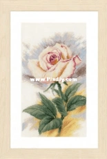 Lanarte PN-0148259 - The Chosen One, Rose
