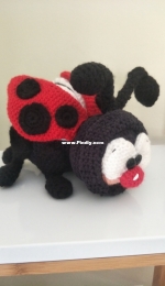 Ladybug