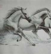 Luca-S B495 White Horses