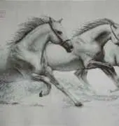 Luca-S B495 White Horses