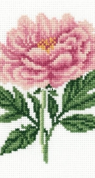 8-293 Panna - Garden Peony XSD