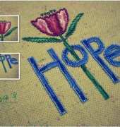 MH DM307106 Hope