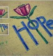 MH DM307106 Hope
