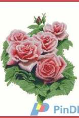KCS Y618212 Roses XSD + PCS