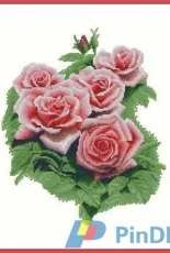 KCS Y618212 Roses XSD + PCS