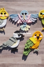 The Yarn Conspiracy - Michelle Carlisle - Bird is the Word