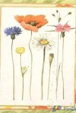 Marjolein Bastin Flowers