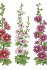 Hollyhocks