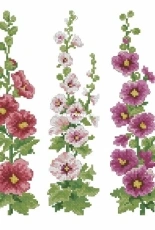 Hollyhocks