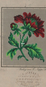 Berlin Woolwork - Verlag von G. Nippe Berlin - Aster  SAGA