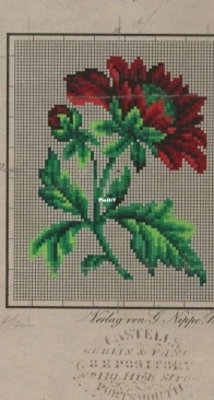 Berlin Woolwork - Verlag von G. Nippe Berlin - Aster  SAGA