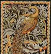 Golden Kite  GK 794 The Peacock