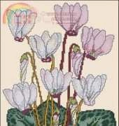 Stitch World X-Stitch HD97-2454 Cyclamen