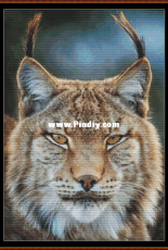 Witchykitt Designs - Lynx