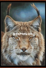 Witchykitt Designs - Lynx